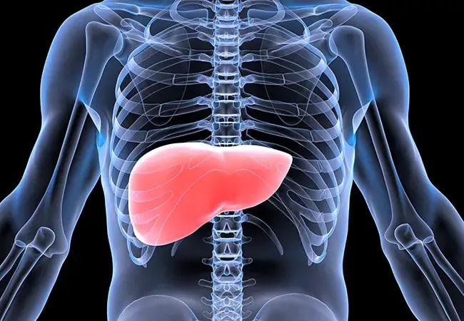 Affordable liver transplant procedure in India