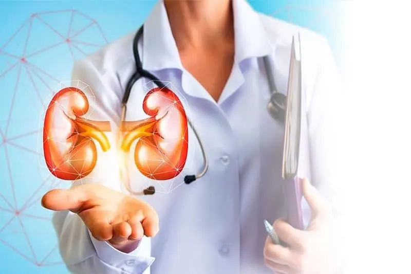 Kidney transplant cost in India for UAE patients 2025